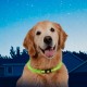 Collar luminoso universal mascota