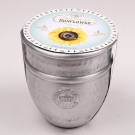 Tiesto para plantar del jardín botánico de Kew Girasol