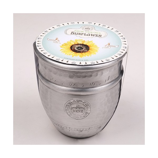 Tiesto para plantar del jardín botánico de Kew Girasol