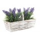 Lavanda en maceta de madera