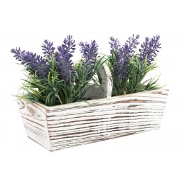 Lavanda en maceta de madera