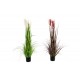 Planta junco 123 cm.