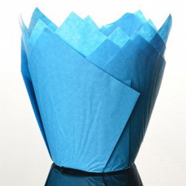 24 caissettes en papier