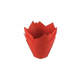 24 caissettes en papier