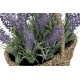 Lavanda en cesta