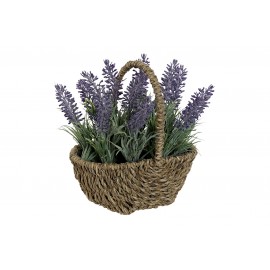 Lavanda en cesta