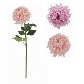 Crisantemo 15 x 76 cm