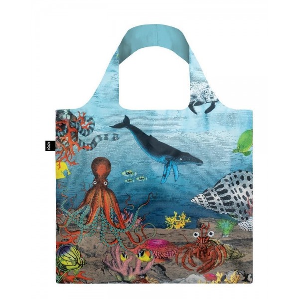 Bolsa Loqi reef great barrier