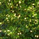 Luces decorativas 160 Leds Knirke