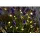 Luces decorativas 80 Leds Maggie
