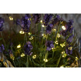Luces decorativas 80 Leds Maggie