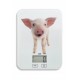 Balance de cuisine porcelet ADE