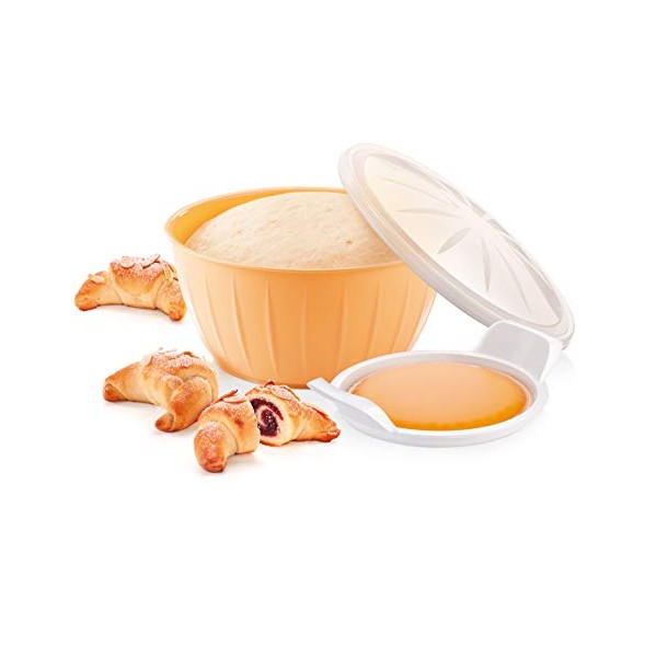 Bol para fermentación