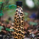 Botella Leopardo 500 ml doble pared inox