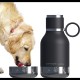 Bouteille thermique avec gobelet pour chien