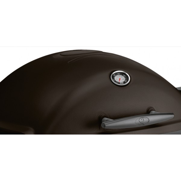 Barbacoa Weber Q 1200 negra