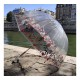 Parapluie dentelle coleur Smati