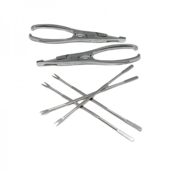 Set d'outils de fruits de mer