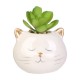 Planta artificial con maceta gato/unicornio