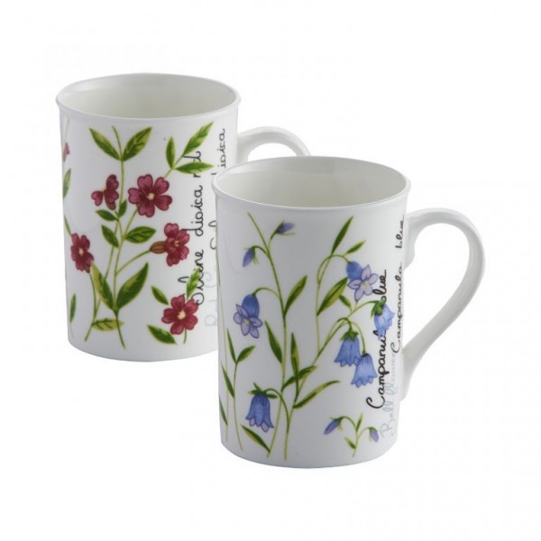 Taza 30cl. BOTANICAL fine china