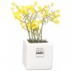 Mini campanilla en tiesto de porcelana blanco 5 x 5 cm.