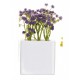 Campanilla en tiesto de porcelana blanco 8 x 8 cm.