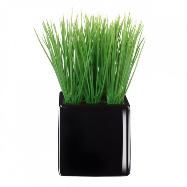 Pompón en tiesto de porcelana blanco 8 x 8 cm.