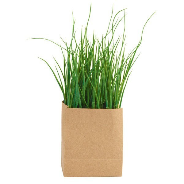 Hierba en tiesto de porcelana negro 5 x 5 cm.