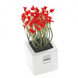 Mini campanilla violeta en tiesto de porcelana blanco 5 x 5 cm.