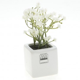 Mini pompónamarillo en tiesto de porcelana blanco 5 x 5 cm.