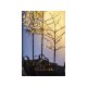 Arbol con LEDs Sirius Freja 30 Leds